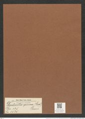 Denticella spinosa (Grev.) Grun. (de-Toni-Nr.: Genus 125, Species 3525) Zeichnungen Sammlung Grunow Mappe 03707 (Herbarium_W_Grunow_drawings_Folder_03707)